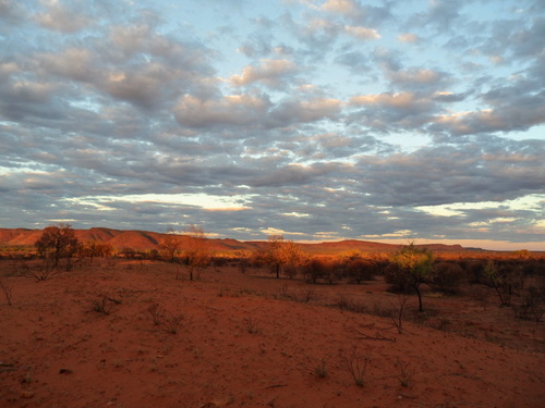 Dans l'Outback Jours 1 et 2 : West Range Mac Donnel 