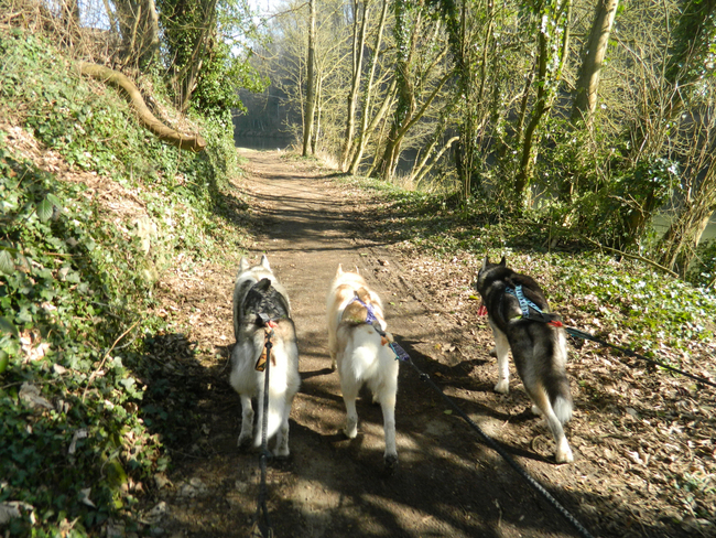 Descente de la Lesse 2015