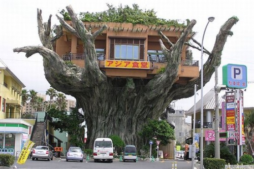 Dans le style "Treehouse", il existe un restaurant original!