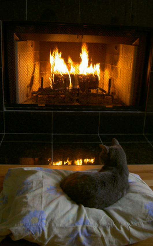 Résultat de recherche d'images pour "soirée coin du feu"