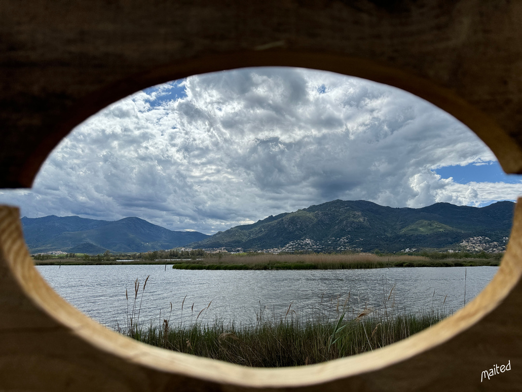 Etang de Biguglia