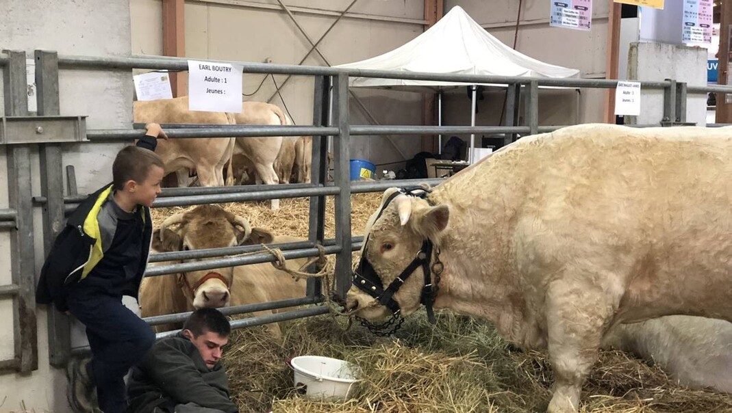 Quand ce sont les animaux qui veillent sur les agriculteurs. (Photo parue dans le journal Ouest-France lors de l'exposition "La ferme en fête").
