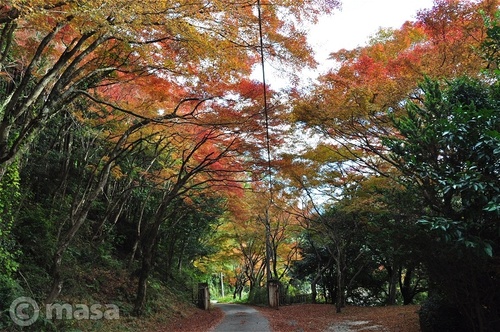automne à Fukuoka