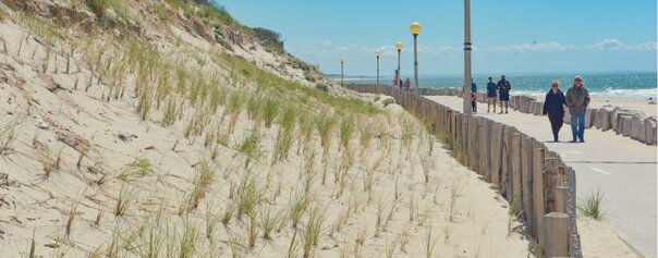 Les dunes et leurs sentiers - Ville de Berck sur Mer
