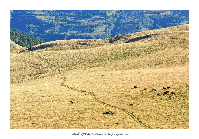 Randonnée au Roc des Ombres, le Cantal plein Ouest!