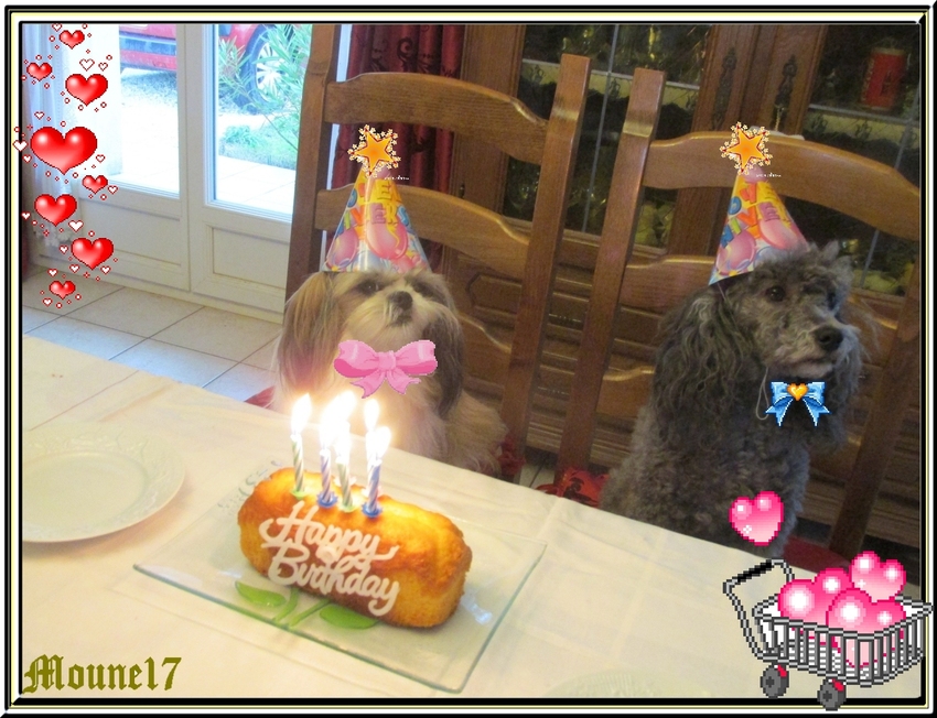 Anniversaire de Poupinou et  Poupinette 