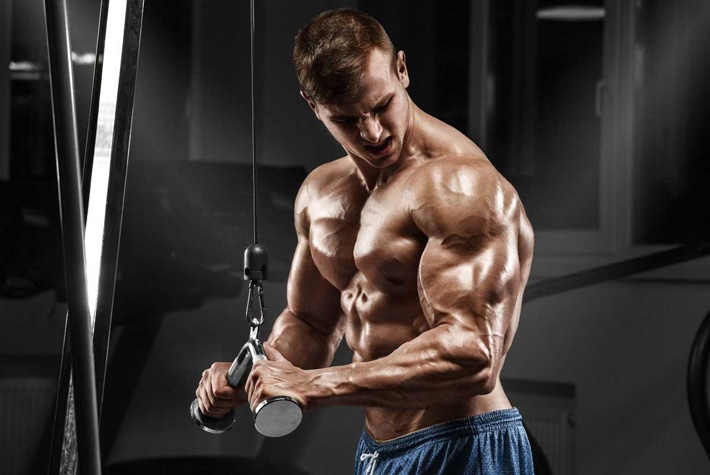 Increasing Testosterone Levels Bodybuilding