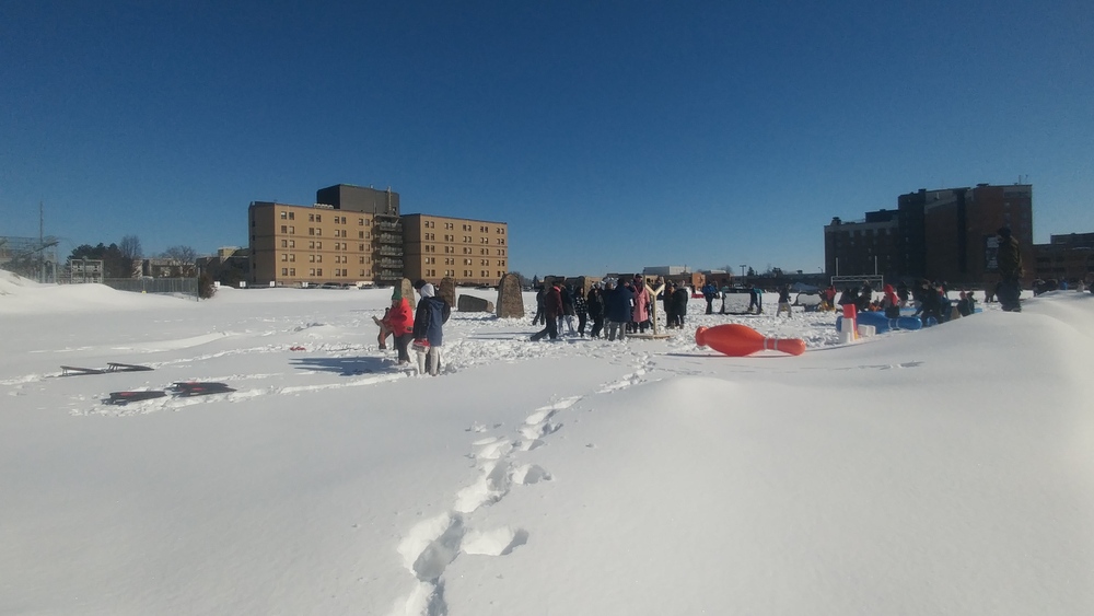 Carnaval d'hiver au Collège Nouvelles Frontières