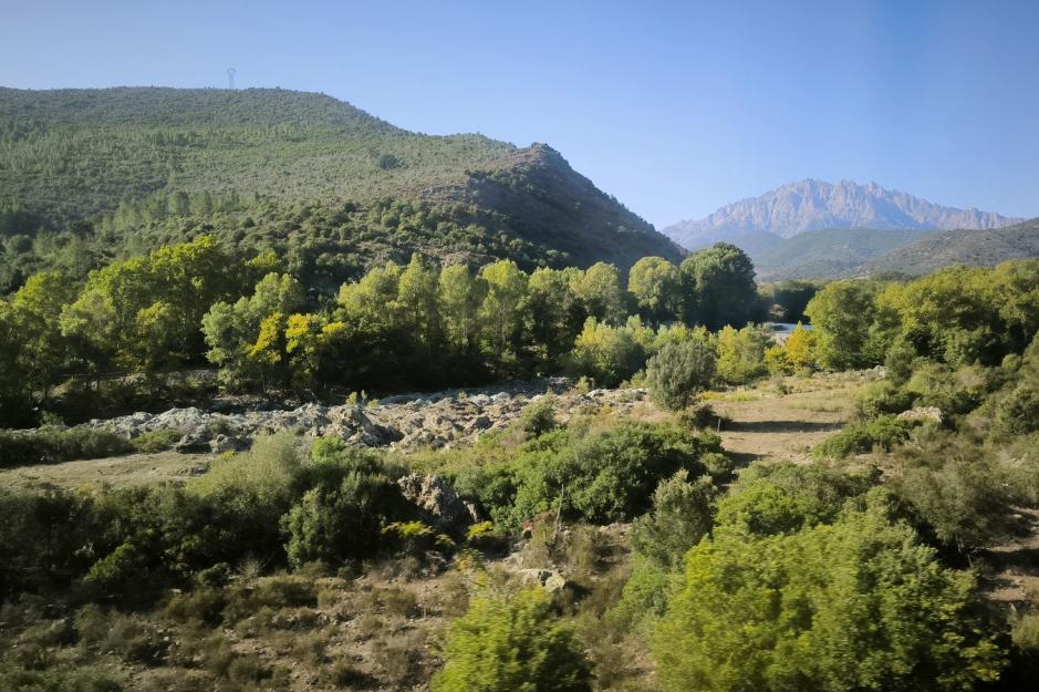 Vacances en Corse, automne 2023. 8. Train Bastia/Calvi