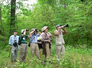 Birders