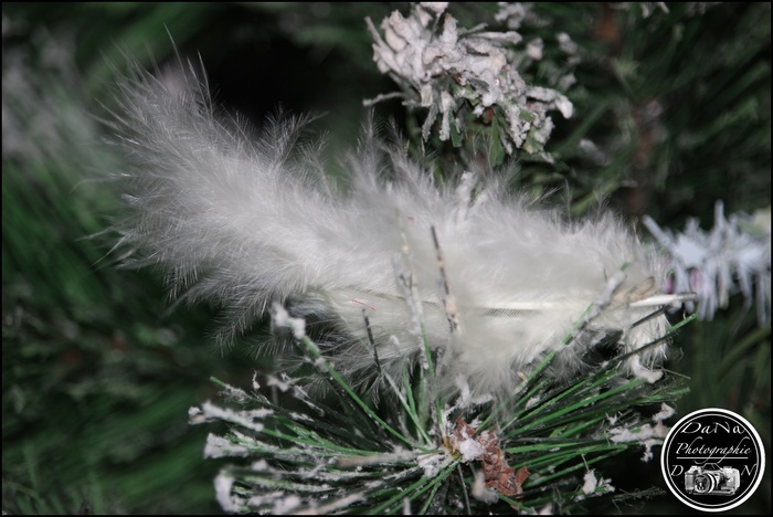 Les décorations de Noel