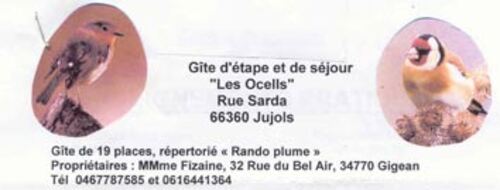 Des merveilles au pays d'Alysse - Le Tour du Coronat - 2eme jour L'Estany del Clot (1.640 m) - Lac de Nohèdes ou Gorg Estelat (2.022 m) - Lac d'Evol ou Gorg Nègre (2.083 m) - Jujols (940 m) 20 kms.