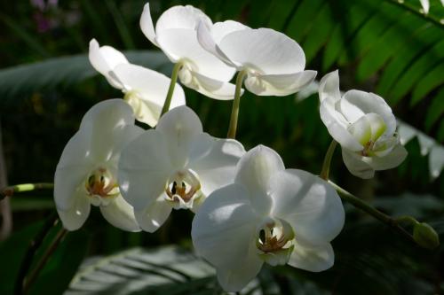 Le cartoscope du vendredi 21 octobre 2022