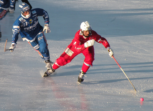 Bandy, match en Suède (2011).jpg