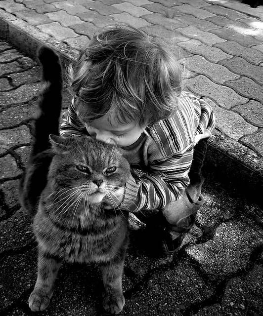 Adorables et touchantes photos d'enfants et de chats jouant ensemble