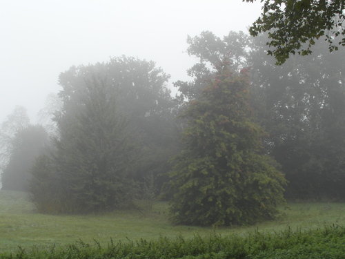 Dans le brouillard 1