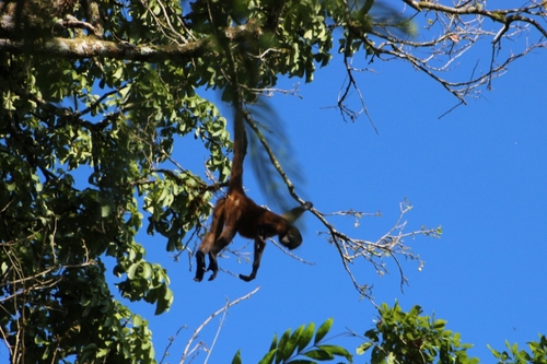 À Tortuguero