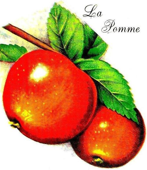 Pommes rouges.jpg