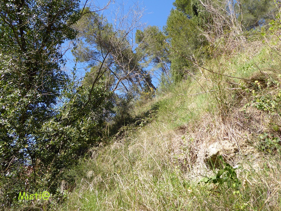  Sur les bords de la Garèle ...