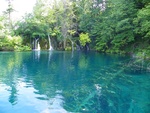 Lacs de Plitvice - Arbre mort