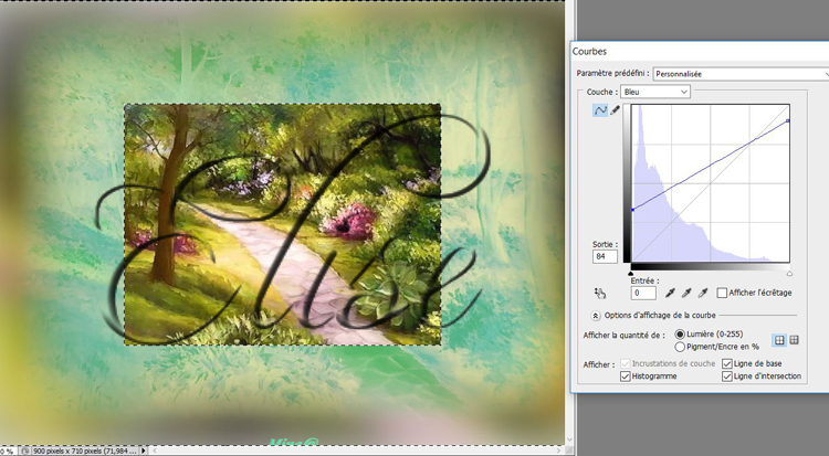 59. Effet spécial sur une photo