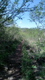 Rando dans la Savane