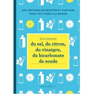 Du sel, du citron, du vinaigre, du bicarbonate de soude