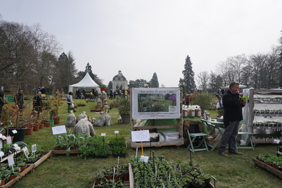 La fête des plantes de Cheverny