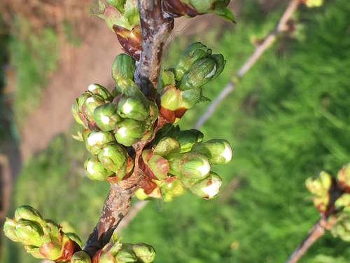 Un air de printemps