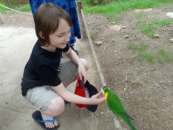 Des nouveautés au Parc de l'Auxois....