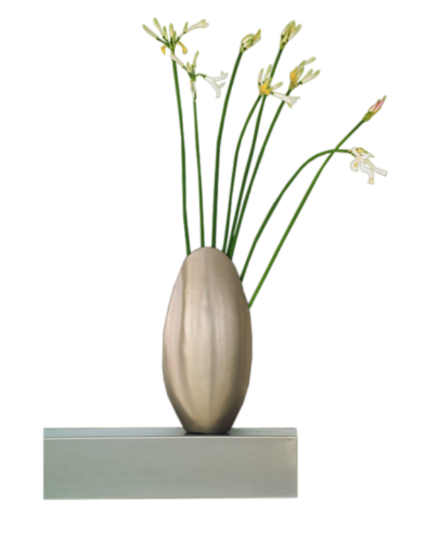 Fleurs  dans vase  / 1