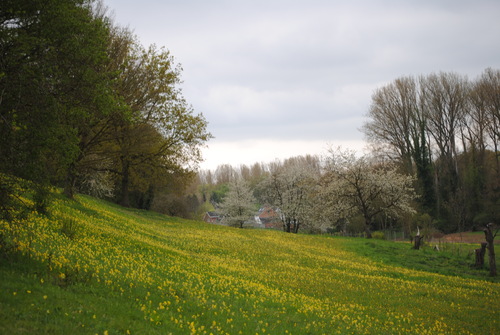 Au printemps...