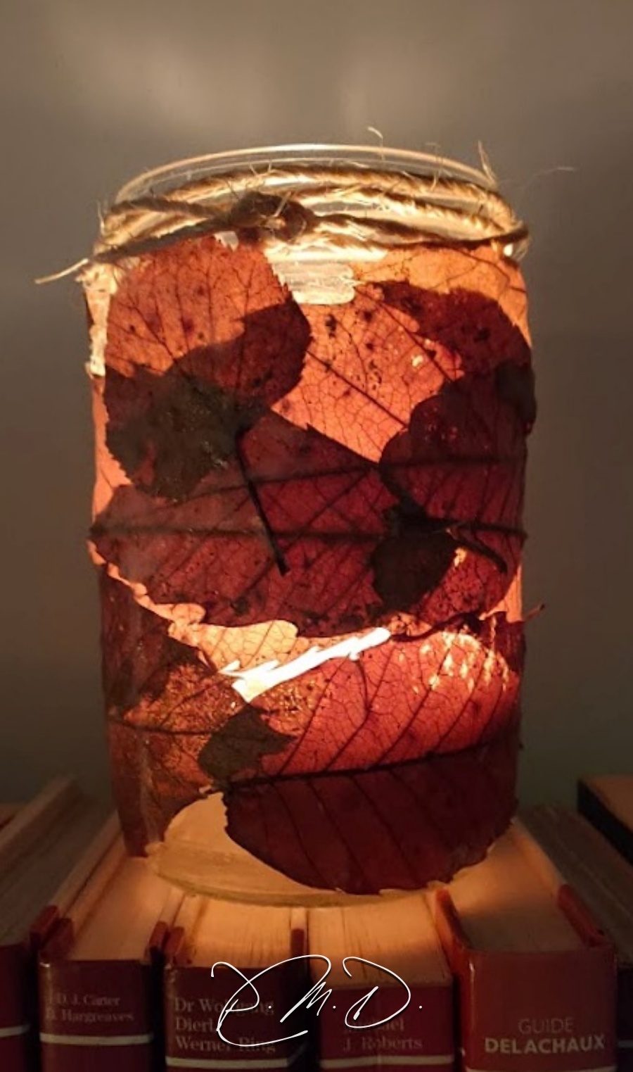 2021 C - Photophore. Bombe de colle, feuilles sèches et vernis - CP
