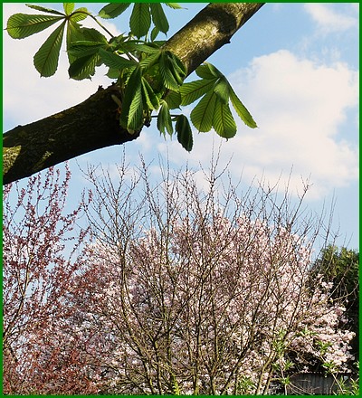 Couleurs d'Avril 2013