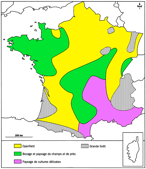 L'agriculture en France : bocages et openfields