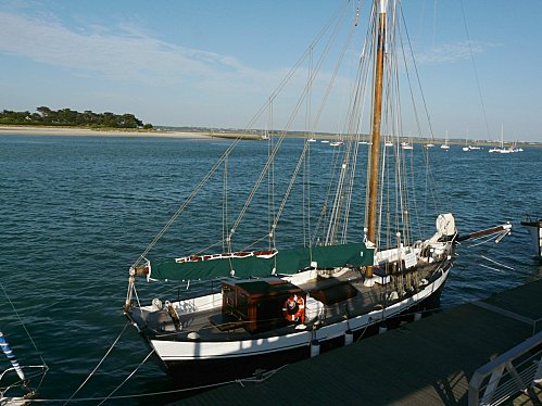 08-09 065