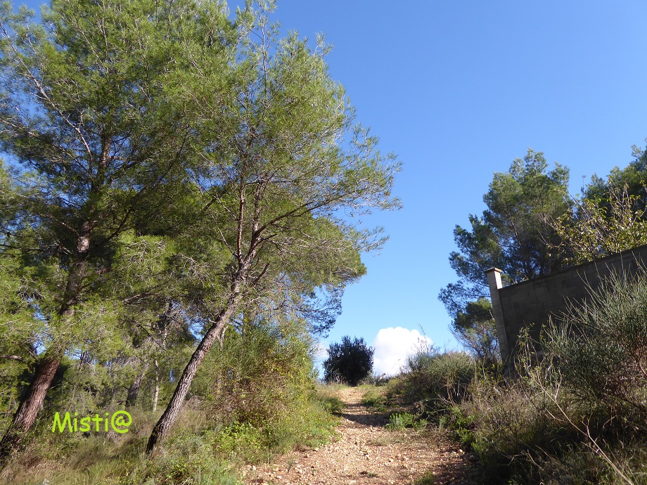   ma campagne en automne ...