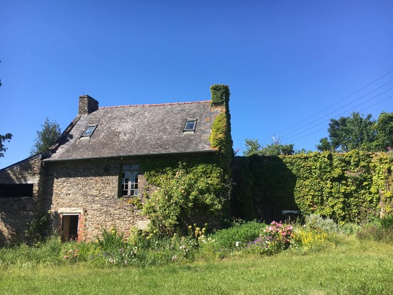 Peut être une image de plein air et arbre