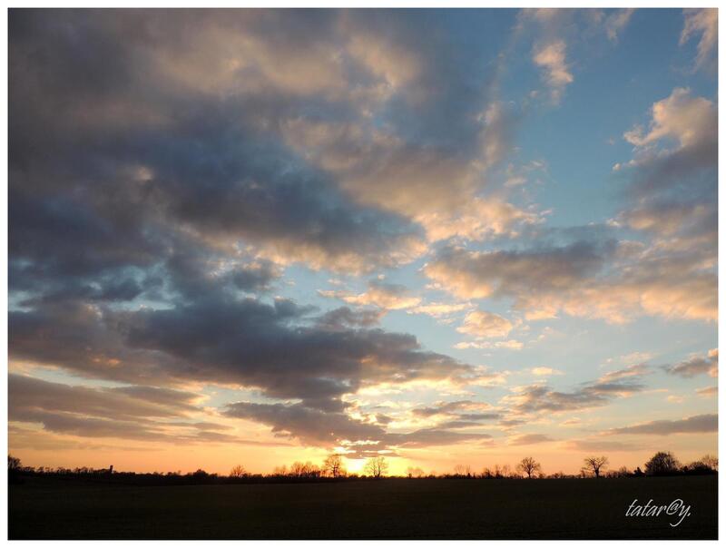 Besoin de soleil..... 