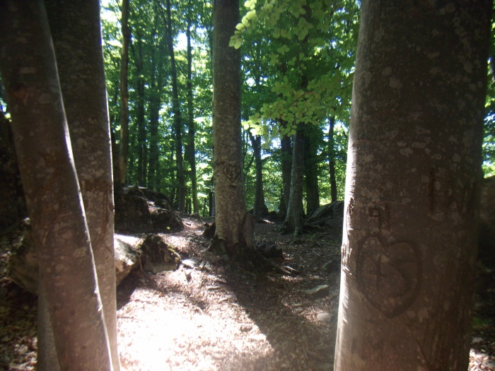 Autour du lac de Serre-Ponçon