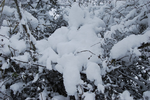 Il neige en Ile de France...