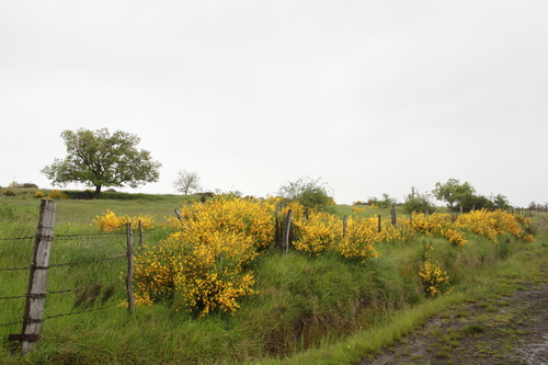 20.05.2024..Rando sous la pluie à Saint Floret.9 kms