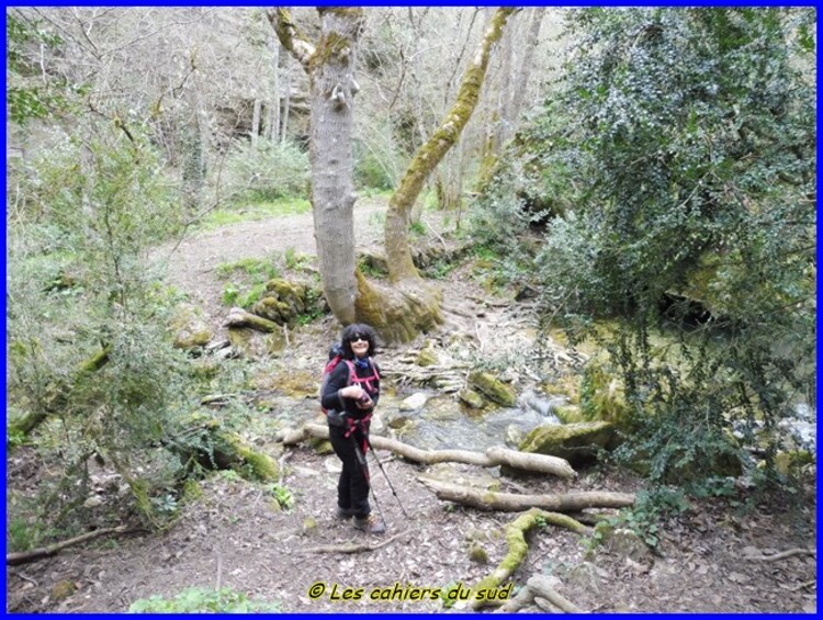 Les gorges de l'Aiguebrun