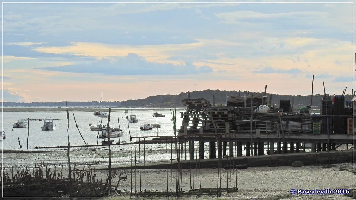 Balade à Claouey sur la presqu'île du Cap Ferret - Octobre 2016 - 5/10