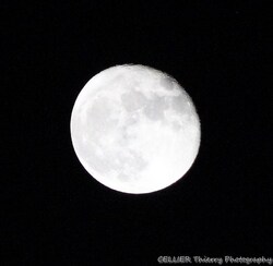 paysage de nuit avec pleine lune : 08 novembre 2014