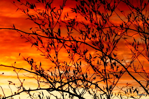 Ciel du matin : vent ou pluie ?