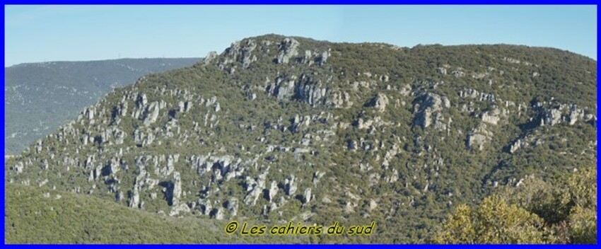 Var, la forêt des Morières