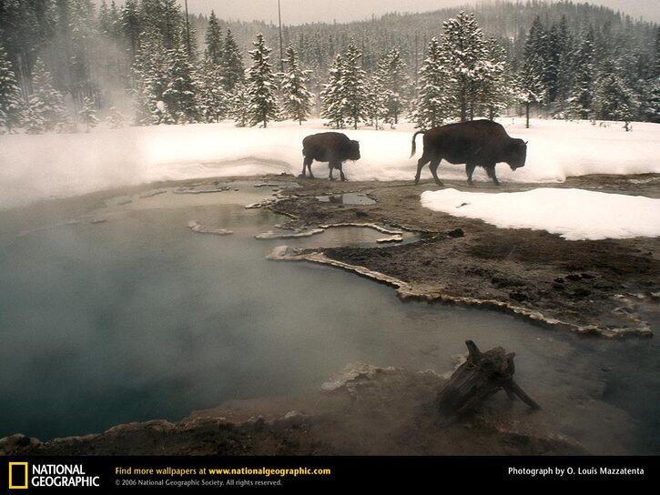 10 Images de Natl. Geographic 4