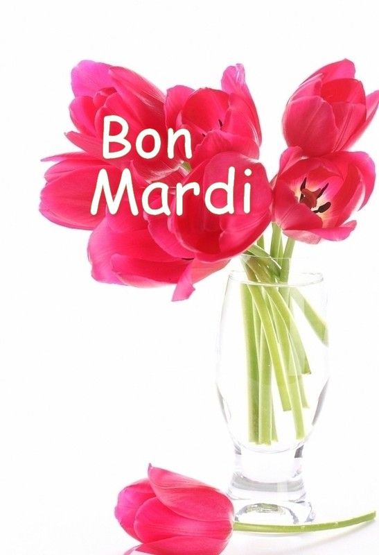 bon mardi …