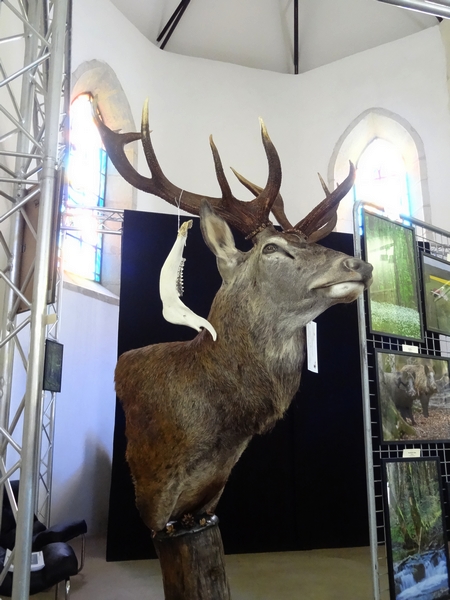 Une belle fête de la chasse 2014 a eu lieu dans l'abbaye d'Auberive...